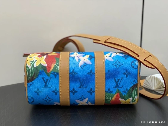 Aaa replica bags SPEEDY Vuitton 25 Louis 0825